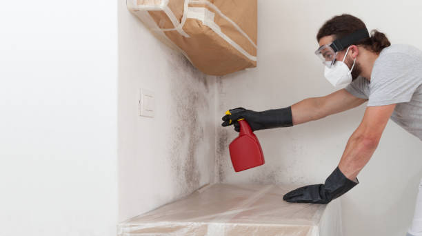 Professional Black Mold Remediation technician working in Scotts, MI